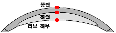 http://static.apub.kr/journalsite/sites/kta/2009-011-03/N0550110306/images/PICCF09.gif