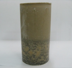 http://static.apub.kr/journalsite/sites/kta/2009-011-03/N0550110307/images/PIC1899.jpg