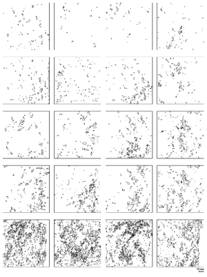 http://static.apub.kr/journalsite/sites/kta/2009-011-03/N0550110309/images/PICB96B.gif