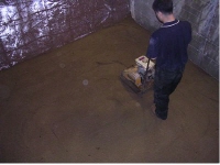 http://static.apub.kr/journalsite/sites/kta/2009-011-04/N0550110409/images/PICAE4B.jpg