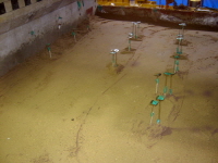 http://static.apub.kr/journalsite/sites/kta/2009-011-04/N0550110409/images/PICAF17.JPG