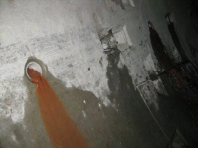 http://static.apub.kr/journalsite/sites/kta/2010-012-01/N0550120107/images/PIC21AA.JPG