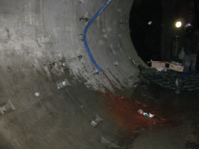 http://static.apub.kr/journalsite/sites/kta/2010-012-01/N0550120107/images/PIC2A65.JPG