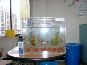 http://static.apub.kr/journalsite/sites/kta/2010-012-01/N0550120107/images/PICC521.JPG