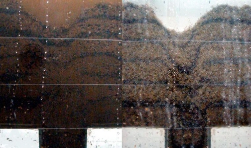 http://static.apub.kr/journalsite/sites/kta/2010-012-02/N0550120202/images/PIC7240.JPG
