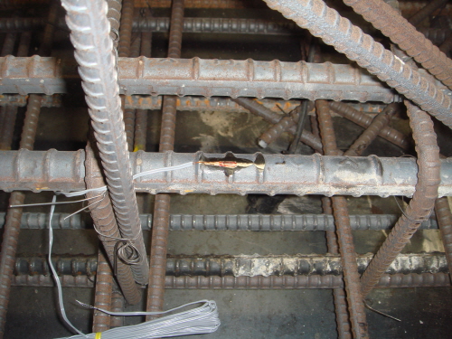 http://static.apub.kr/journalsite/sites/kta/2010-012-02/N0550120208/images/PIC293F.JPG