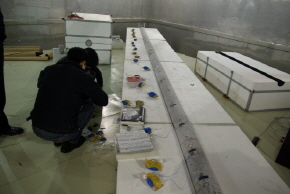 http://static.apub.kr/journalsite/sites/kta/2011-013-04/N0550130403/images/PIC38E.JPG