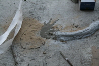 http://static.apub.kr/journalsite/sites/kta/2011-013-04/N0550130403/images/PICD79E.JPG
