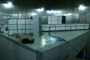 http://static.apub.kr/journalsite/sites/kta/2011-013-04/N0550130403/images/PICFC5.JPG