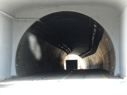 http://static.apub.kr/journalsite/sites/kta/2011-013-05/N0550130502/images/PICB99F.JPG