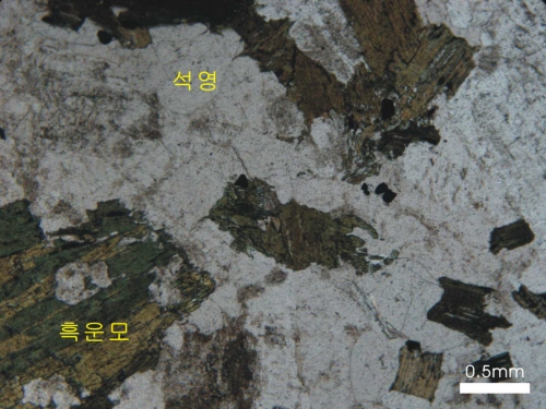http://static.apub.kr/journalsite/sites/kta/2011-013-06/N0550130604/images/PICDF54.jpg