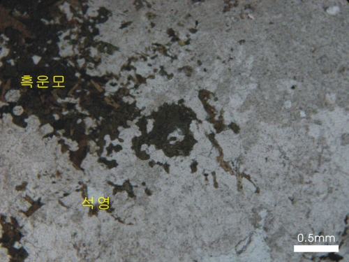 http://static.apub.kr/journalsite/sites/kta/2011-013-06/N0550130604/images/PICE040.jpg
