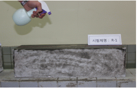 http://static.apub.kr/journalsite/sites/kta/2011-013-06/N0550130607/images/PIC3036.gif
