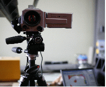 http://static.apub.kr/journalsite/sites/kta/2012-014-03/N0550140303/images/PICE97A.gif