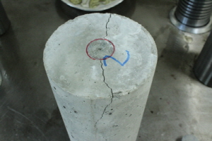 http://static.apub.kr/journalsite/sites/kta/2012-014-03/N0550140306/images/PICB38.JPG