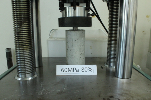 http://static.apub.kr/journalsite/sites/kta/2012-014-03/N0550140306/images/PICD8B8.JPG