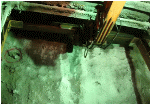 http://static.apub.kr/journalsite/sites/kta/2012-014-04/N0550140407/images/PIC7B90.gif