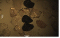 http://static.apub.kr/journalsite/sites/kta/2012-014-04/N0550140408/images/PIC79BA.gif