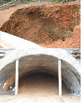 http://static.apub.kr/journalsite/sites/kta/2012-014-06/055014061101/images/PIC3690.gif