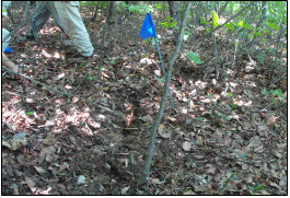 http://static.apub.kr/journalsite/sites/kta/2012-014-06/055014061101/images/PIC3D31.gif