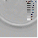 http://static.apub.kr/journalsite/sites/kta/2013-015-01/055015011118/images/PIC4965.gif