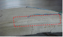 http://static.apub.kr/journalsite/sites/kta/2013-015-03/N055015031136/images/PICBA98.gif