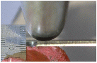 http://static.apub.kr/journalsite/sites/kta/2013-015-03/N055015031137/images/PICD61C.gif