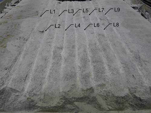 http://static.apub.kr/journalsite/sites/kta/2013-015-03/N055015031138/images/PICF8D1.jpg