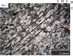 http://static.apub.kr/journalsite/sites/kta/2013-015-04/N055015041146/images/PIC7D9A.png