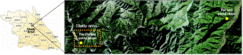 http://static.apub.kr/journalsite/sites/kta/2013-015-04/N055015041149/images/PIC84C9.gif