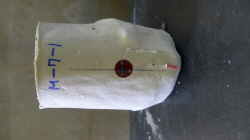 http://static.apub.kr/journalsite/sites/kta/2013-015-06/N055015061164/images/PICEF44.JPG