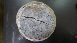 http://static.apub.kr/journalsite/sites/kta/2013-015-06/N055015061164/images/PICFA9F.JPG