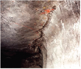 http://static.apub.kr/journalsite/sites/kta/2013-015-06/N055015061165/images/PIC1DFF.gif