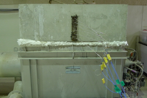 http://static.apub.kr/journalsite/sites/kta/2014-016-03/N0550160304/images/PIC5FA5.JPG