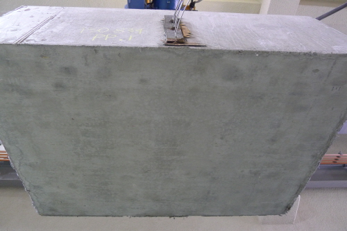 http://static.apub.kr/journalsite/sites/kta/2014-016-03/N0550160304/images/PIC6868.JPG