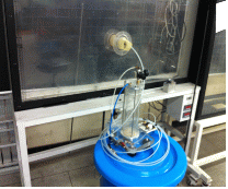 http://static.apub.kr/journalsite/sites/kta/2014-016-04/N0550160404/images/PIC4770.gif