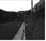 http://static.apub.kr/journalsite/sites/kta/2015-017-01/N0550170101/images/PIC71CE.gif