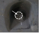 http://static.apub.kr/journalsite/sites/kta/2015-017-01/N0550170102/images/PIC8873.gif