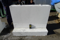http://static.apub.kr/journalsite/sites/kta/2015-017-02/N0550170204/images/PIC1667.JPG