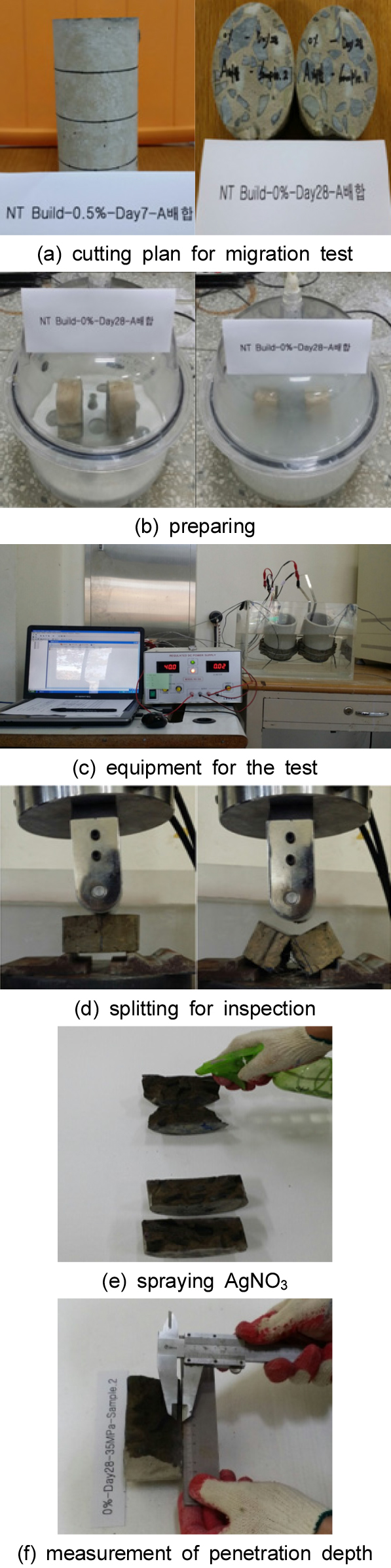 http://static.apub.kr/journalsite/sites/kta/2015-017-03/N0550170310/images/KTA_17_03_10_F3.jpg
