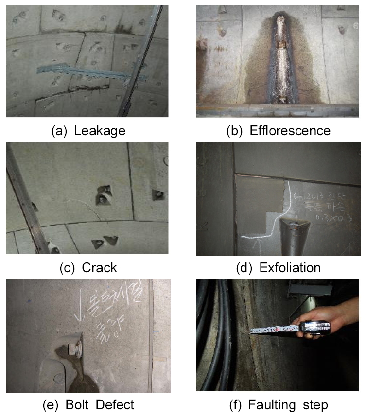 http://static.apub.kr/journalsite/sites/kta/2015-017-05/N0550170504/images/figure_KTA_17-05-04_F3.jpg
