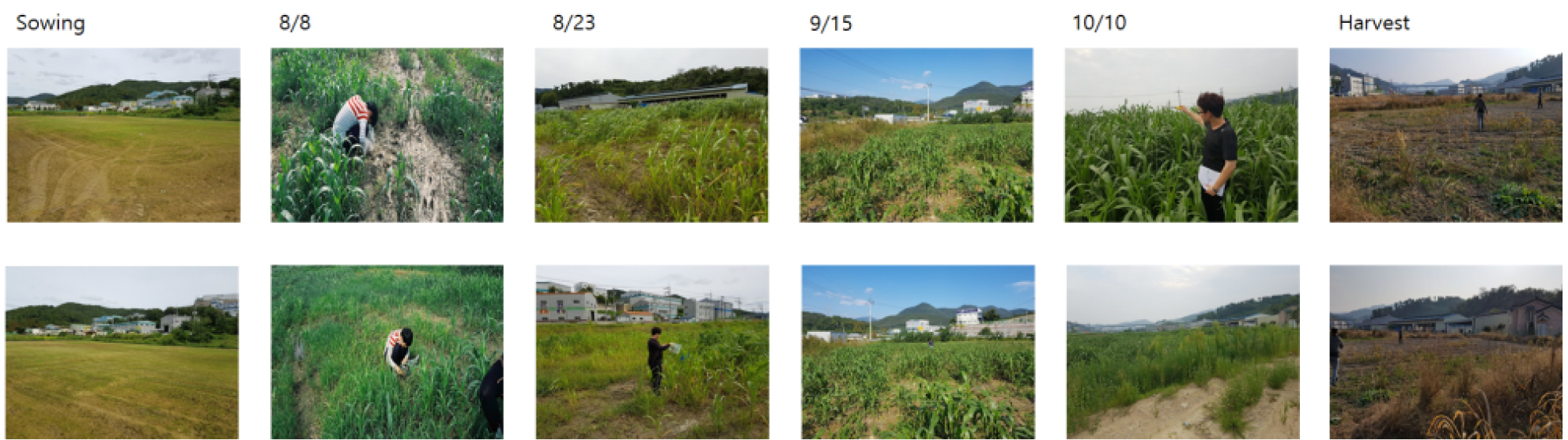 http://static.apub.kr/journalsite/sites/phpf/2020-029-01/N0090290111/images/phpf_29_01_11_F5.jpg